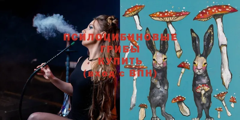 Псилоцибиновые грибы Magic Shrooms  Старая Купавна 