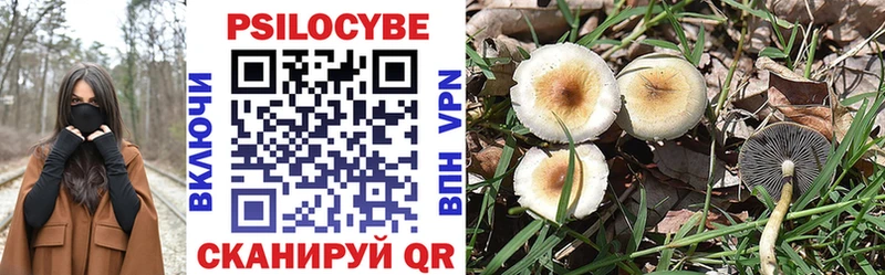 Галлюциногенные грибы мицелий  Старая Купавна 