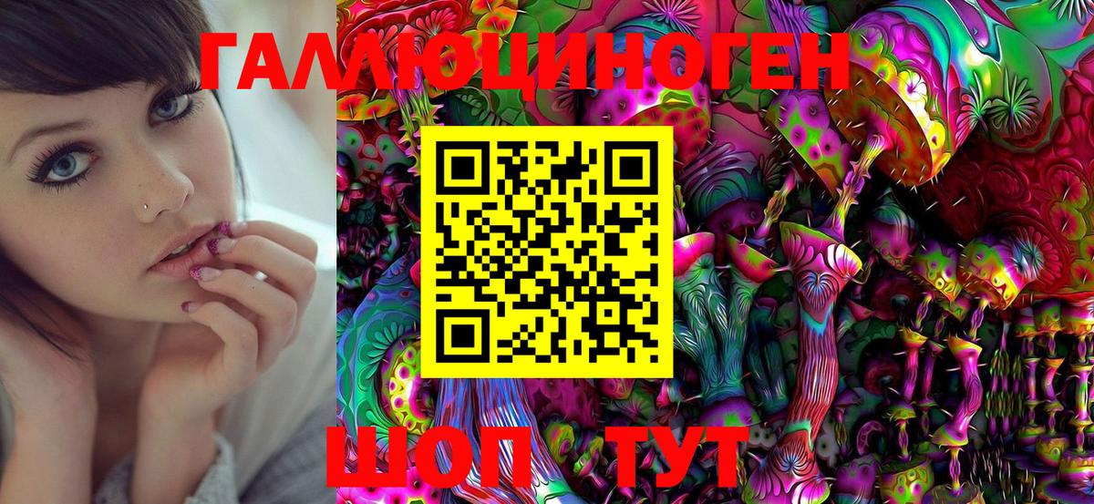 дарнет шоп  Старая Купавна  Галлюциногенные грибы мицелий 