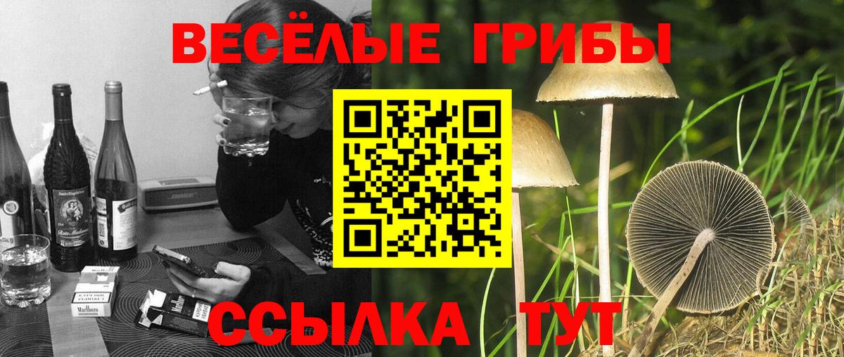 Галлюциногенные грибы Magic Shrooms Старая Купавна