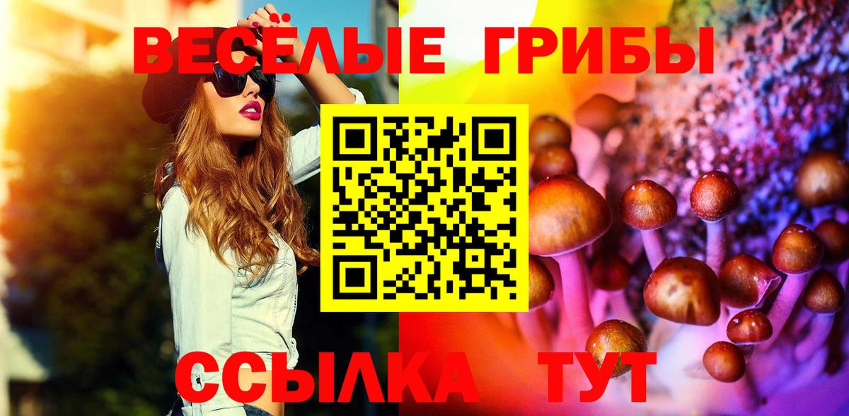 Псилоцибиновые грибы Cubensis  Галлюциногенные грибы GOLDEN TEACHER  Старая Купавна  Вход с VPN 